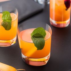 Amaro Sour cocktail